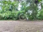Terreno / Lote para Venda em Ubatuba/SP Praia do Itamambuca