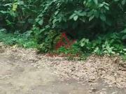 Terreno / Lote para Venda em Ubatuba/SP Praia do Itamambuca