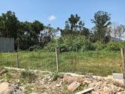 Terreno / Lote para Venda em Ubatuba/SP Praia do Sape