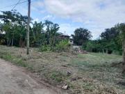 Terreno / Lote para Venda em Ubatuba/SP Praia Dura