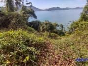 Terreno / Lote para Venda em Ubatuba/SP Praia Vermelha...