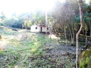 Terreno / Lote para Venda em Ubatuba/SP Prumirim