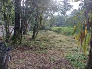 Terreno / Lote para Venda em Ubatuba/SP Ubatumirim