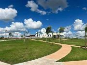 Terreno / Lote para Venda em Uberaba/MG Damha...