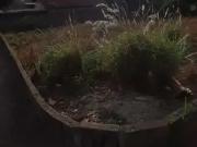 Terreno / Lote para Venda em Uberaba/MG Jardim Uberaba