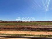 Terreno / Lote para Venda em Uberaba/MG Recreio dos...