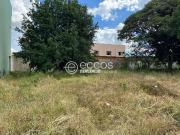 Terreno / Lote para Venda em Uberaba/MG Universitário
