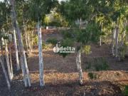 Terreno / Lote para Venda em Uberlândia/MG Área Rural de...