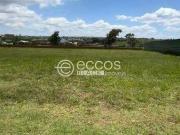 Terreno / Lote para Venda em Uberlândia/MG Granja Marileusa