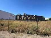 Terreno / Lote para Venda em Uberlândia/MG Jardim Brasília