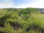 Terreno / Lote para Venda em Uberlândia/MG Jardim Colina