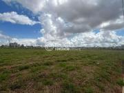 Terreno / Lote para Venda em Uberlândia/MG Jardim Sul Terreno / Lote para Venda em Uberlândia/MG Jardim Sul