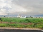 Terreno / Lote para Venda em Uberlândia/MG Jardim Sul