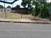 Terreno / Lote para Venda em Uberlândia/MG Lagoinha