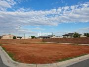 Terreno / Lote para Venda em Uberlândia/MG Osvaldo Rezende