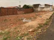Terreno / Lote para Venda em Uberlândia/MG Pampulha