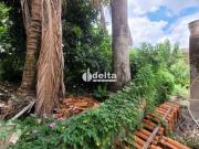 Terreno / Lote para Venda em Uberlândia/MG Tabajaras