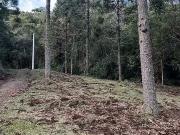 Terreno / Lote para Venda em Urubici/SC Águas Brancas
