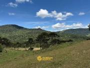 Terreno / Lote para Venda em Urubici/SC Zona Rural