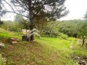 Terreno / Lote para Venda em Vargem Grande Paulista/SP...