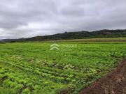 Terreno / Lote para Venda em Vargem Grande Paulista/SP...