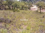 Terreno / Lote para Venda em Vespasiano/MG São Damião