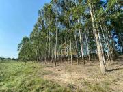 Terreno / Lote para Venda em Viamão/RS Águas Claras