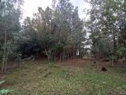 Terreno / Lote para Venda em Viamão/RS Jardim Krahe
