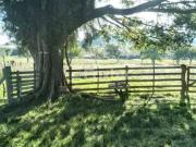 Terreno / Lote para Venda em Viamão/RS Morro Grande