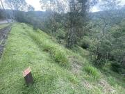 Terreno / Lote para Venda em Viamão/RS Santa Isabel