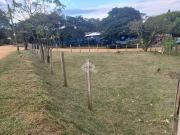 Terreno / Lote para Venda em Viamão/RS Tarumã