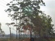 Terreno / Lote para Venda em Viamão/RS Vila Elsa