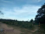 Terreno / Lote para Venda em Vila Velha/ES Barra do Jucu