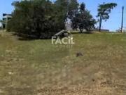 Terreno / Lote para Venda em Vila Velha/ES Santa Paula