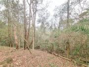 Terreno / Lote para Venda em Vinhedo/SP Vale da Santa Fé