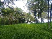 Terreno / Lote para Venda em Vinhedo/SP Vista Alegre