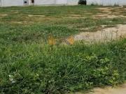 Terreno / Lote para Venda em Vitória da Conquista/BA...