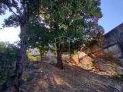 Terreno / Lote para Venda em Vitória/ES Caratoíra
