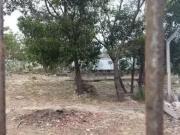 Terreno / Lote para Venda em Vitória/ES Ilha do Frade