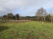 Terreno, Lustosa e Barrosas Santo Estêvão, Lousada | BPI...