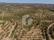 Terreno, Luz de Tavira e Santo Estêvão, Tavira | BPI...