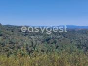 Terreno, Luzianes Gare, Odemira | BPI Expresso Imobiliário