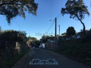 Terreno, Maçanet de la Selva