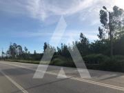 Terreno, Macinhata Do Vouga, Águeda | BPI Expresso...
