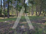 Terreno, Macinhata Do Vouga, Águeda | BPI Expresso...