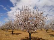 Terreno, Madrigueras