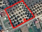 Terreno, Malpartida de Plasencia