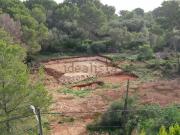 Terreno, Manacor