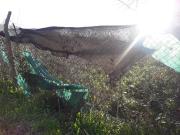 Terreno Manuel B Gonnet