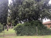 Terreno Manuel B Gonnet